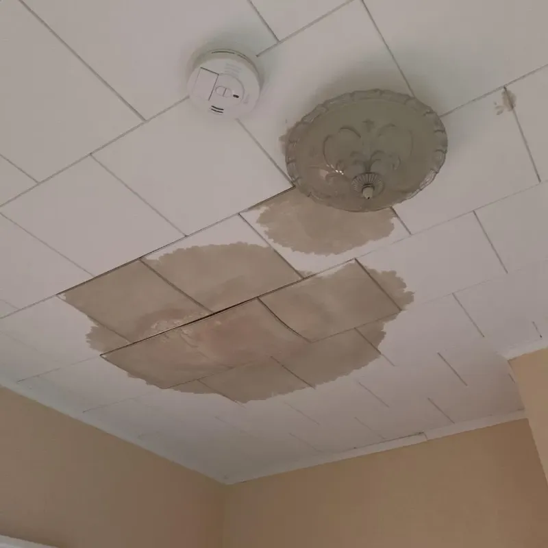 Ceiling Water Damage Repair in Hornsby Bend, TX