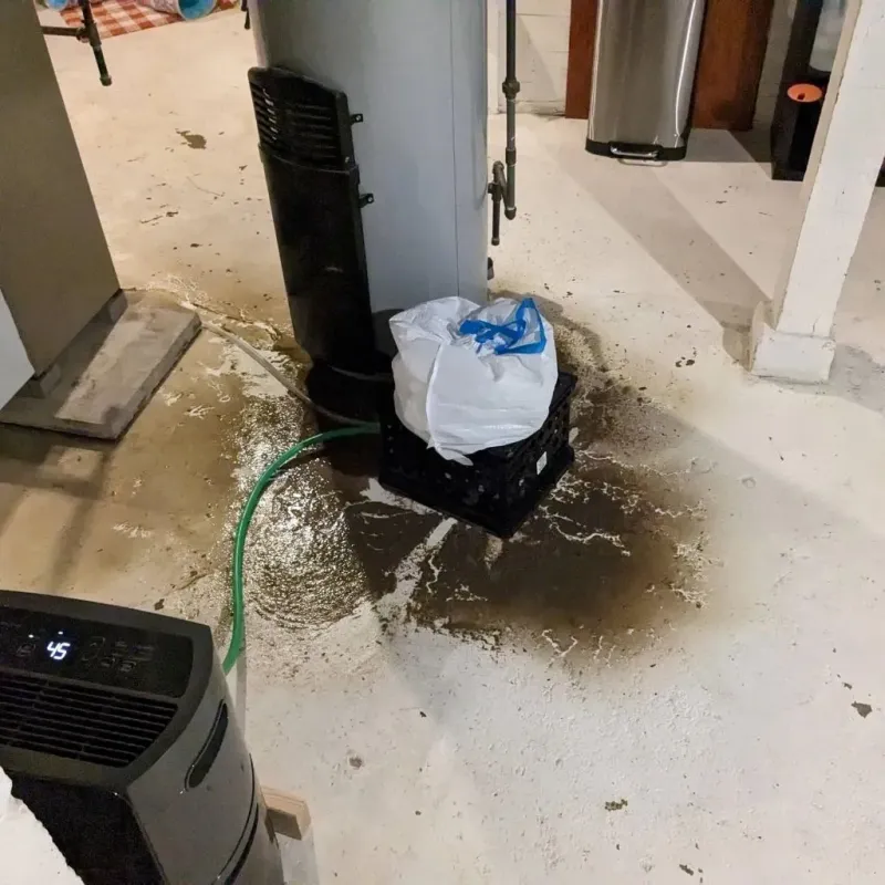 Sewage Backup Cleanup Service in Hornsby Bend, TX